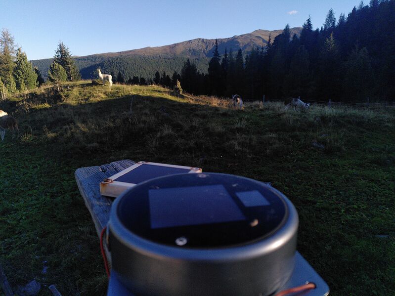 Datei:Lighteter-Station-Wildal-d044-LP47-2026-09-16 GW.jpg.jpg